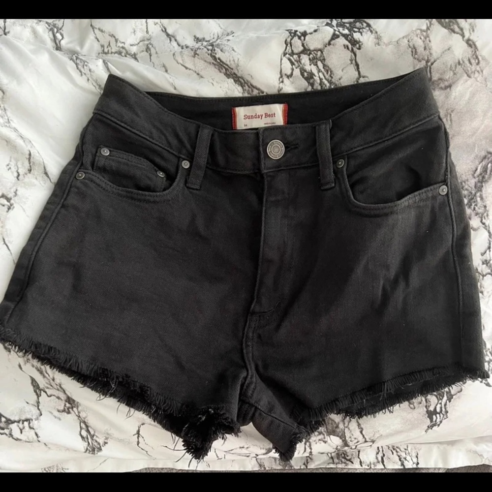 Aritzia Shorts